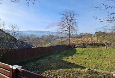 Casă / Vilă cu 3 camere de vânzare-Cacica-Suceava - 12