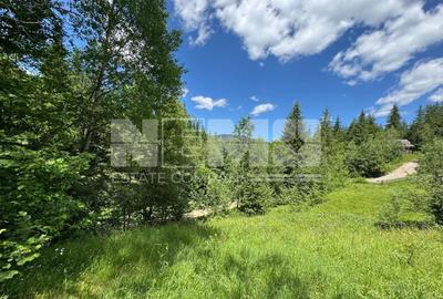 TEREN EXTRAVILAN DE VANZARE | CAMPULUNG MOLDOVENESC | 245.000€ - 7