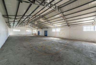 Hale & Birouri Mărăcineni - 1.294 mp - Deschidere la DN - 5