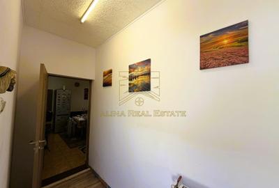 Vanzare Casa Individuala pe Parter, Curte 640 mp - 18