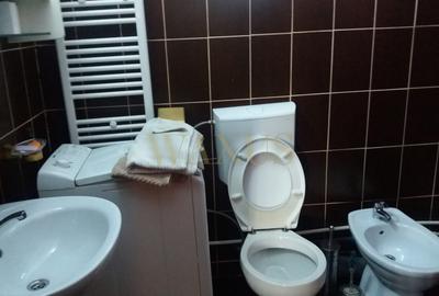 Cabana la Băile Figa – Oportunitate de investiție, vedere parc balnear - 11