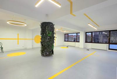 Vila -380mp utili 3 niveluri ideale pentru It/ creatie/ showroom - 8