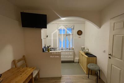 Afacere la cheie, 3 apartamente la casa, singur in curte - Central - 25