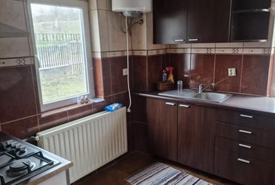 Vila P+E si teren intravilan 1,5Ha,cu zavoi+iaz,lac peste si livada-investitie - 15