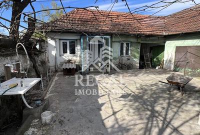 Casă de vânzare în Călanul Mic –  2 clădiri, curte, grădină, garaj - 16