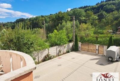 Casa noua cu 5.624 mp teren de vanzare in Vintu de Jos - Valea Vintului - 10