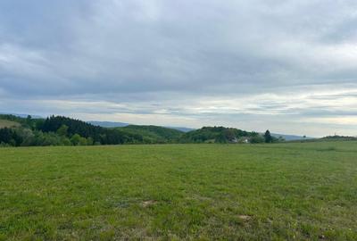 TEREN DE VANZARE IN SINTEU - 2