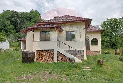 Vanzare casa  4 camere-microferma, cu panouri fotovoltaice - 2