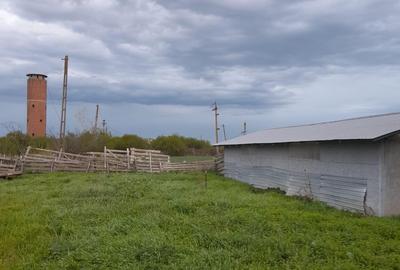 OPORTUNITATE! FERMA FUNCTIONALA, CASA RENOVATA SI TEREN 5HA - 6