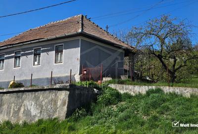 Casa individuala  cu teren 2030mp sat Cojocna - 4