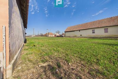 Spațiu comercial de 225 mp în Satu Mare - 14