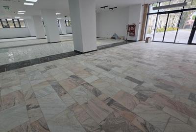 Spatiu Comercial de Inchiriat - parter - 370 mp - ultracentral - 5