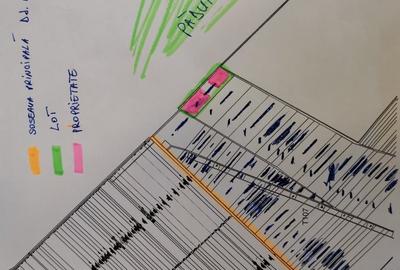 Teren langa padure - Sabareni - 7