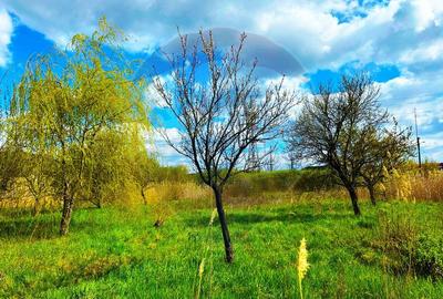 ZONA PREMIUM-TEREN INTRAVILAN - 1