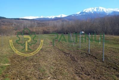 Vindem teren Sibiu, Valea Lupului, priveliste deosebita - 7