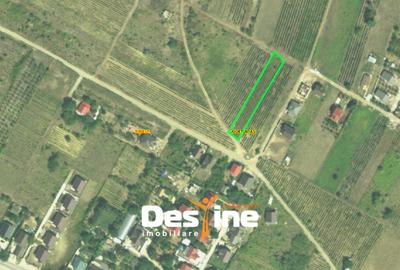 Teren Chicerea, 1250 mp, zona in plina dezvoltare, 25 euro/mp - 1