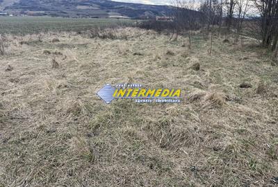 TEREN INTRAVILAN I 800 MP I IGHIU I LATIME 29 ML I IDEAL CASA SAU CABANA I - 3