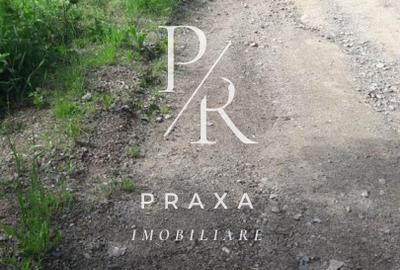 Teren de vanzare 10.000 mp/ parcelabil, cu utiitati, 4 euro/ mp! Maguri Racatau! - 6