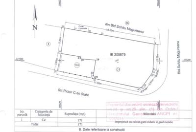 Cismigiu, priveliste superba,  vila consolidata si renovata total. - 8