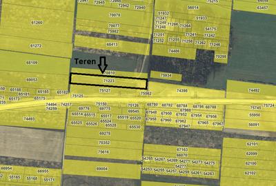 Teren 7481 mp, cu acces facil la Inelul Metropolitan - 1