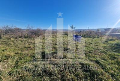 Teren intravilan | De vanzare | 600 mp | 20.7 ml deschidere | Partos - 3