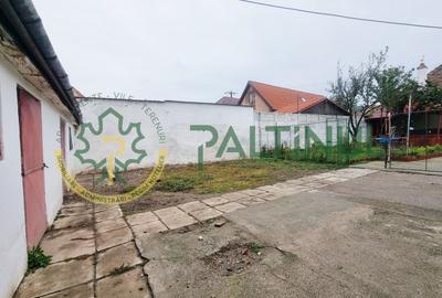 Casă singur în curte, 1.310 mp teren – Gusterița, garaj, pivniță, grădină - 17