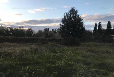 Teren la Strada EUROPEANA , CU TOATE UTILITATILE parcele de case - 12