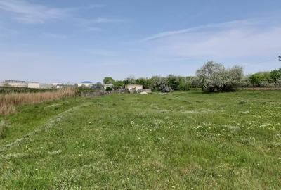 Vand Teren 25m Deschidere Directa la Lac, Intravilan-Construibil, 700mp(25x28m) - 5