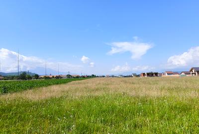 Teren - lot de casa in Cristian - Brasov. - 9