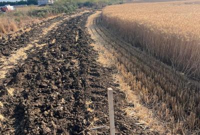 TEREN 4.200 MP   – IDEAL INVESTITIE / LOGISTIC / DEZVOLTARE IMOBILIARA - 1