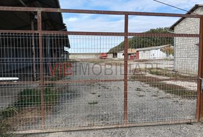 Ferma Agricolă 1.350 Hectare – Grad de Comasare 96–97%, Chișineu Criș, Județul A - 8