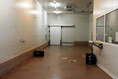 Spatiu industrial Bartolomeu/ Depozit frigorific - 3