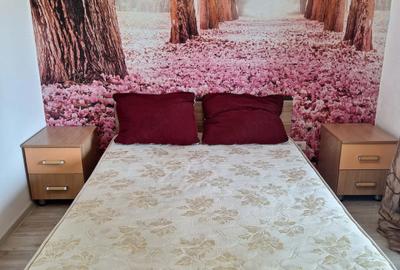 Apartament 2 camere Berceni-Drumul Dealul Cucului - 5