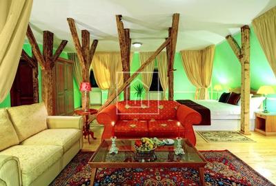 Hotel de inchiriat Piata Mica Sibiu | Afacere turistica activa - 7