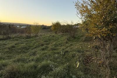 Teren extravilan de vanzare in Salicea 916mp+84mp drum necesită PUZ - 5