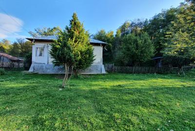 Puciosa Moreni Valea Lunga Sat Izvoru 20000mp teren de vanzare - 2