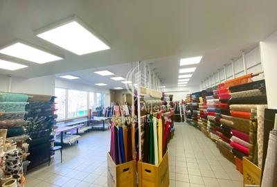 Spatiu Comercial/Cladire BirouriPache Protopopescu - 10