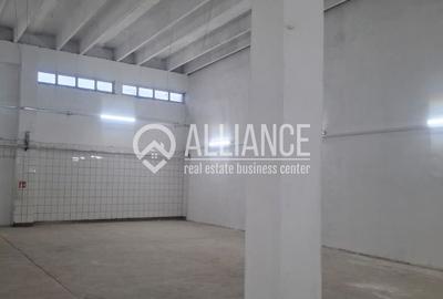 ZONA INDUSTRIALA (COD04)-Hala 270 mp ideal service auto - 6