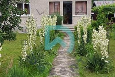 Casa Breaza,  judetul Prahova - 14