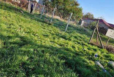 Teren Construcții intravilan de 500 mp, în Miorița