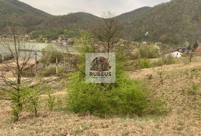 Teren intravilan 2.580 mp Eșelnița, acces DN57, ideal turism, locuinte - 2