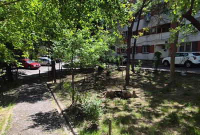 3 Camere, Decomandate, Tomis Nord Brotacei - 19