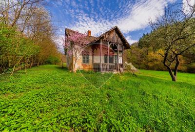 Casă de vacanta intr-o locatie de vis de vanzare in Carand,Romania - 1