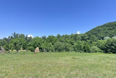 Investiție Turism | Casă | 5164 mp teren | Lac Propriu | Malu cu Flori - 19
