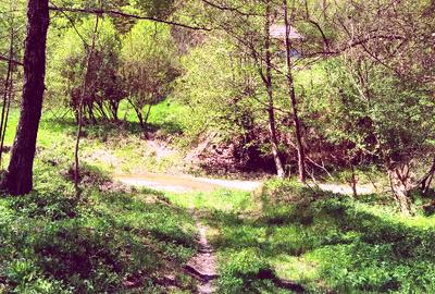 Teren de vis la munte – 7.795 mp – construibil – pârâu, pădure, fără vecini - 2