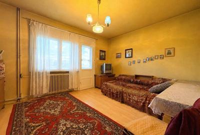 4 camere, suprafata generoasa, vedere panoramica spre raul Timis - 9