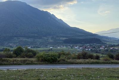 Teren intravilan 500 sau 1000 mp Bran-Tohanita la dum asfaltat - 7