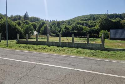 Vând teren extravilan Transfăgărășan - 5