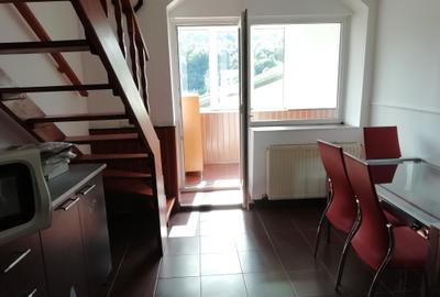 Apartament 2 camere cu priveliste deosebita zona Colinei - 7