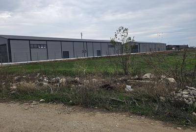 2 hale noi 2025 Magurele ( Constructoriilor ) - 2
